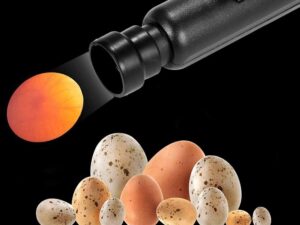 Egg Candler Tester 5W LED Cool White For Brooder Incubator Quail Chicken Poultry